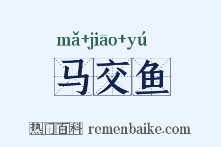马交鱼是什么意思的图片